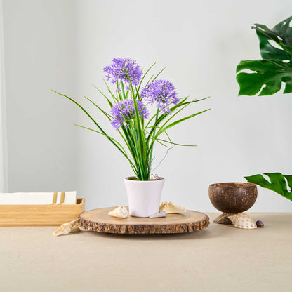 Fiore Violet Plastic Violet Allium in Plastic Pot - 4" x 4" x 14" - 1 count box