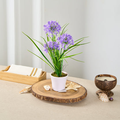 Fiore Round Violet Plastic Violet Allium in Plastic Pot - 4" x 4" x 14" - 12 count box