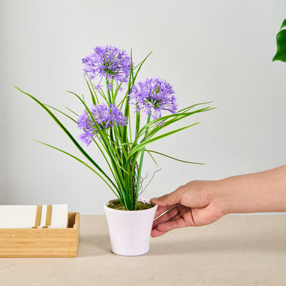 Fiore Round Violet Plastic Violet Allium in Plastic Pot - 4" x 4" x 14" - 12 count box