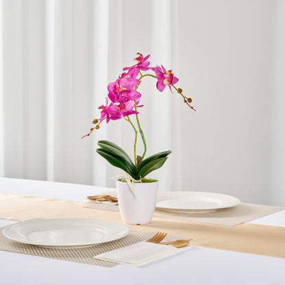 Fiore Round Magenta Plastic Moth Orchid in Plastic Pot - 8 Blooms - 4" x 4" x 15" - 12 count box