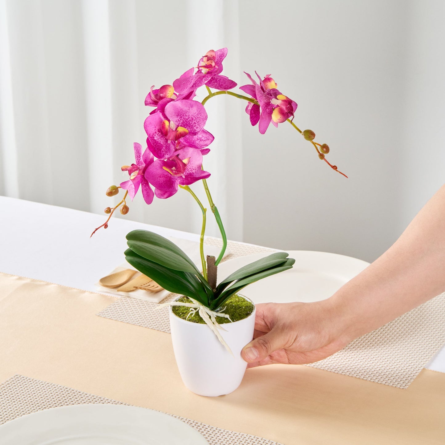 Fiore Round Magenta Plastic Moth Orchid in Plastic Pot - 8 Blooms - 4" x 4" x 15" - 12 count box