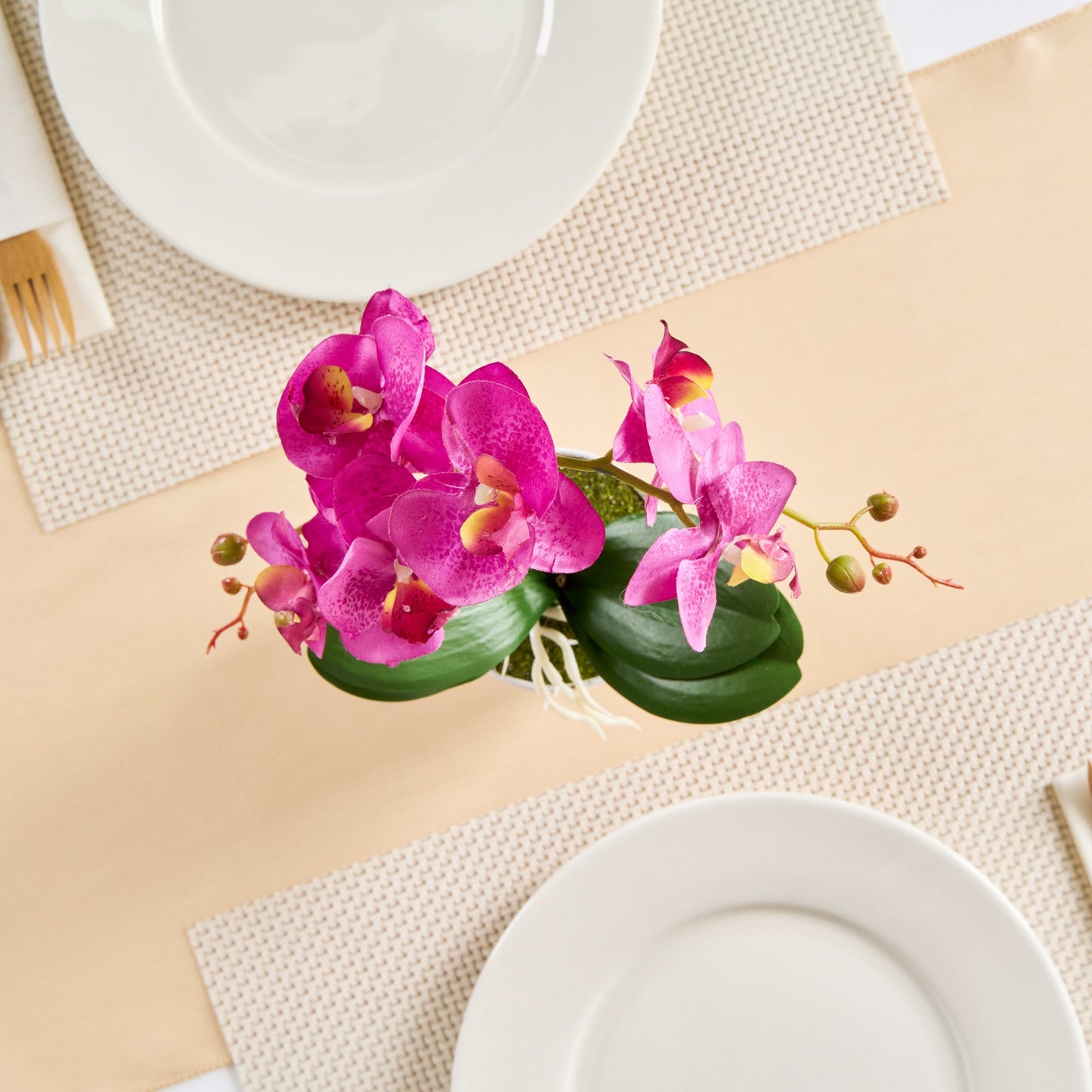 Fiore Round Magenta Plastic Moth Orchid in Plastic Pot - 8 Blooms - 4" x 4" x 15" - 12 count box