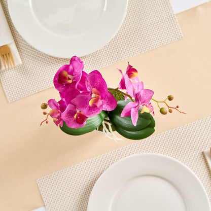 Fiore Round Magenta Plastic Moth Orchid in Plastic Pot - 8 Blooms - 4" x 4" x 15" - 12 count box