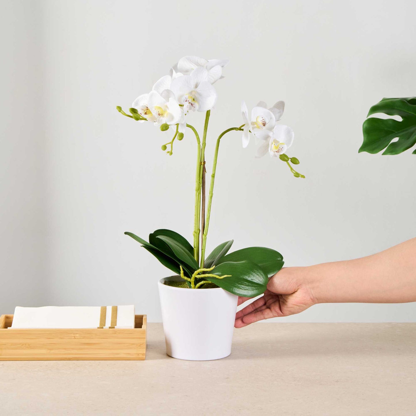 Fiore White Plastic Orchid in Plastic Pot - 12 Blooms - 5 1/2" x 5 1/2" x 19" - 1 count box