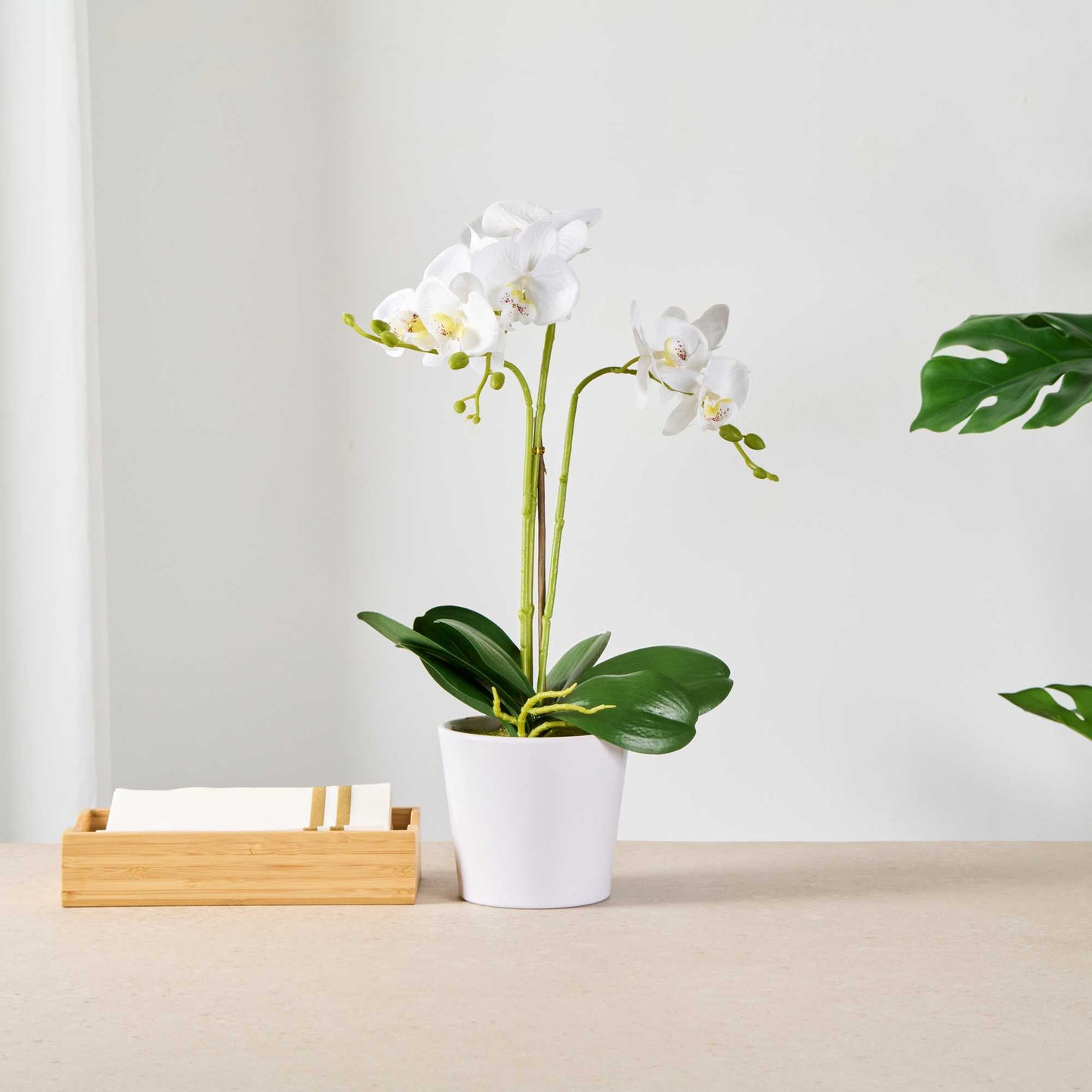 Fiore White Plastic Orchid in Plastic Pot - 12 Blooms - 5 1/2" x 5 1/2" x 19" - 1 count box