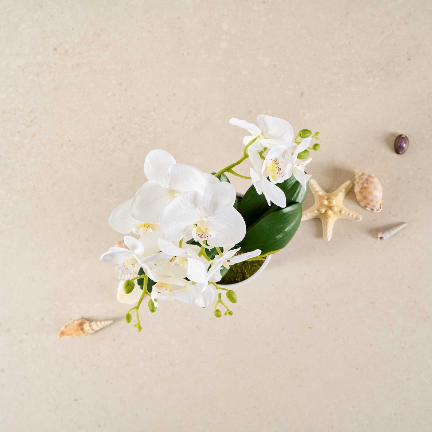 Fiore White Plastic Orchid in Plastic Pot - 12 Blooms - 5 1/2" x 5 1/2" x 19" - 1 count box