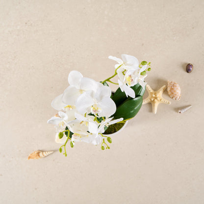 Fiore White Plastic Orchid in Plastic Pot - 12 Blooms - 5 1/2" x 5 1/2" x 19" - 6 count box