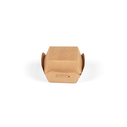 Bio Tek Kraft Paper Slider Box - 2 1/2" x 2 1/2" x 2" - 100 count box