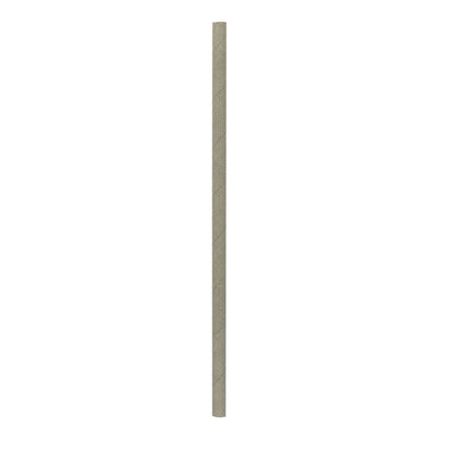 Bev Tek Silver Paper Straw - Biodegradable, 6mm - 7 3/4" - 25 count box