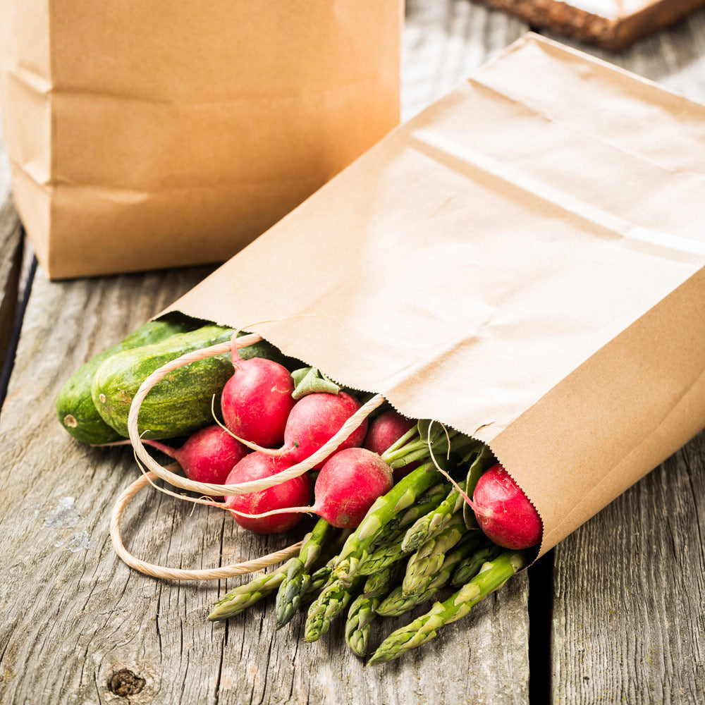 Saving Nature Kraft Paper Medium Retail Bag - with Handles - 10" x 6 3/4" x 12" - 100 count box