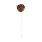 Pastry Tek Orange Paper Cake Pop and Lollipop Stick - Polka Dots, Biodegradable - 6" x 5/32" - 100 count box