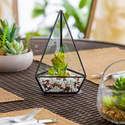 Plastic Table Art Faux Succulent Arrangement - Triangular Glass Terrarium, Black - 8 1/2" x 5" x 3 1/2" - 1 count box