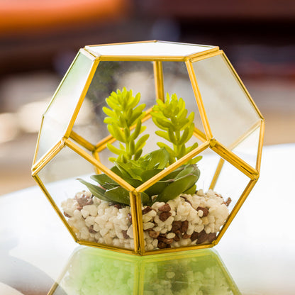 Plastic Table Art Faux Succulent Arrangement - Pentagon Glass Terrarium, Gold - 6 3/4" x 6 1/4" x 6 1/4" - 1 count box