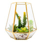 Plastic Table Art Faux Succulent Arrangement - Hexagonal Glass Terrarium, Bronze - 7" x 6 1/2" x 8" - 1 count box