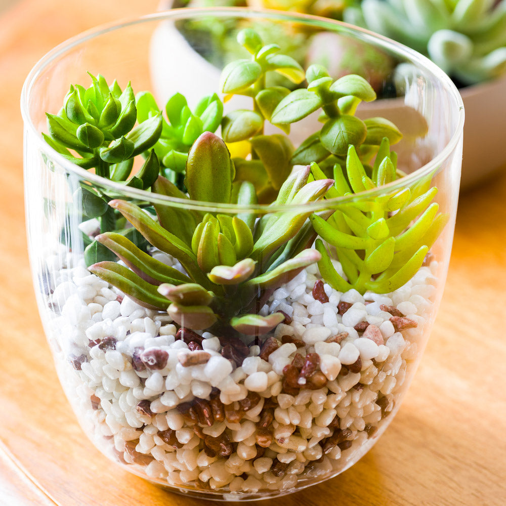 Plastic Table Art Faux Succulent Arrangement - Glass Terrarium Vase - 5 1/2" x 5 1/2" x 5" - 1 count box