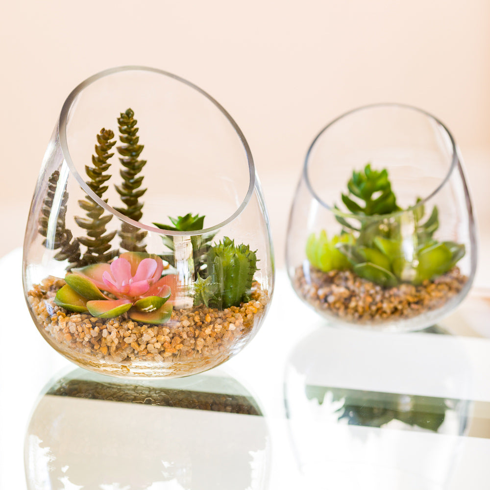 Plastic Table Art Faux Succulent Arrangement - Incline Edge Glass Terrarium - 6" x 6" x 7" - 1 count box