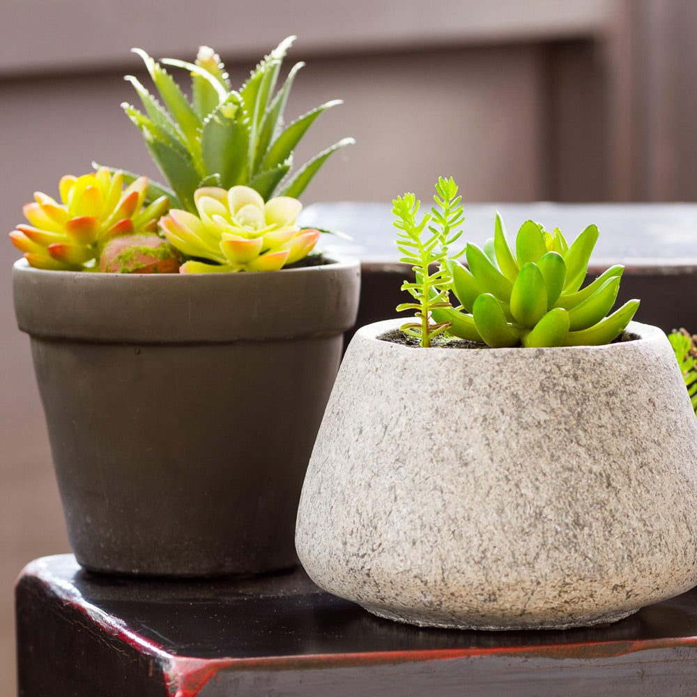 Plastic Table Art Faux Succulent Arrangement - Gravel Concrete Planter, Round - 6 1/2" x 6 1/2" x 7" - 1 count box