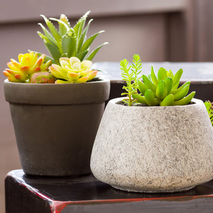 Plastic Table Art Faux Succulent Arrangement - Gravel Concrete Planter, Round - 6 1/2" x 6 1/2" x 7" - 1 count box