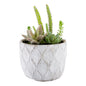 Plastic Table Art Faux Succulent Arrangement - Concrete Planter, Light Gray - 6" x 6" x 7 3/4" - 1 count box