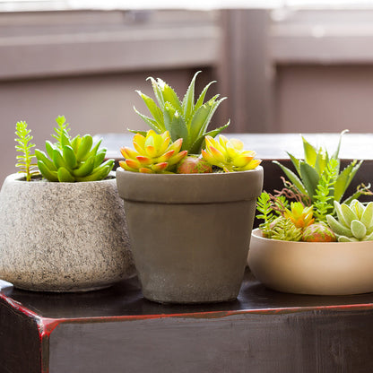 Plastic Table Art Faux Succulent Arrangement - Cement Flower Pot, Brushed Charcoal - 5 1/2" x 5 1/2" x 9" - 1 count box