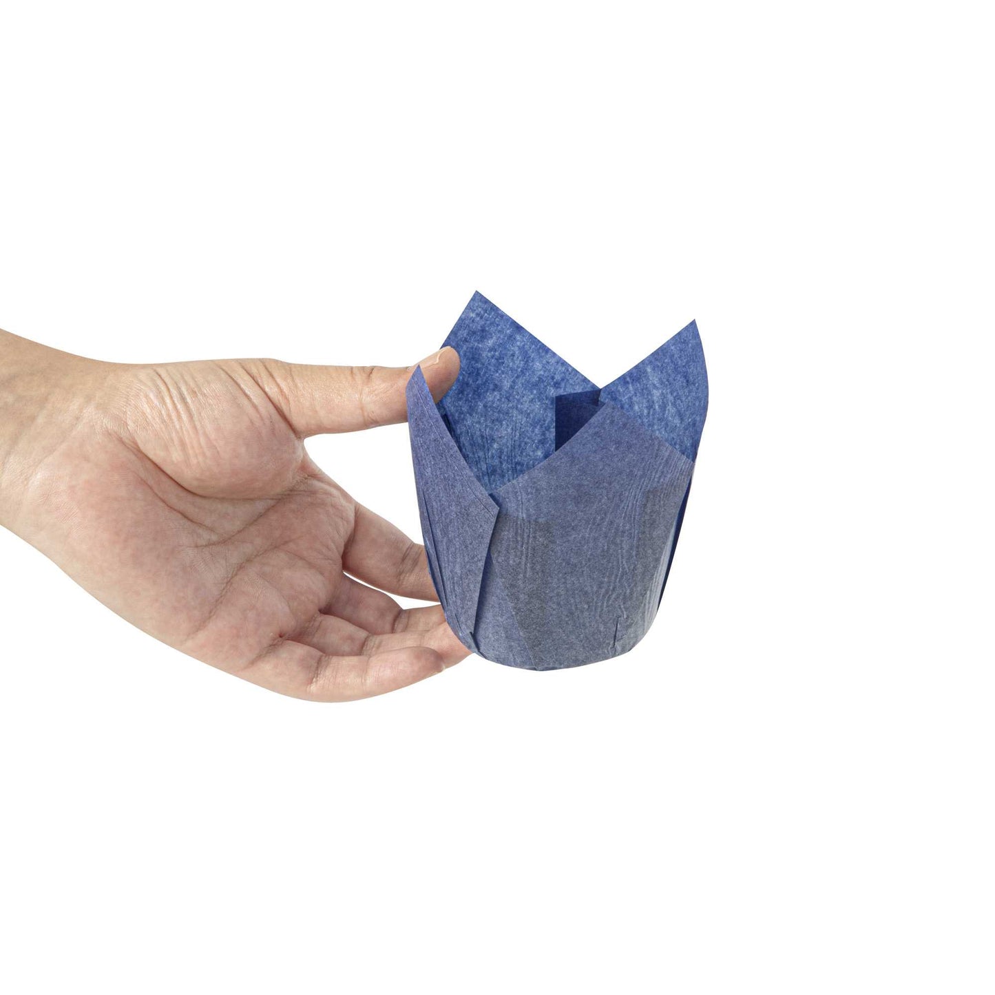 Panificio 4 oz Blue Paper Tulip Baking Cup - Greaseproof - 3 1/2" x 3 1/2" x 3 1/2" - 200 count box