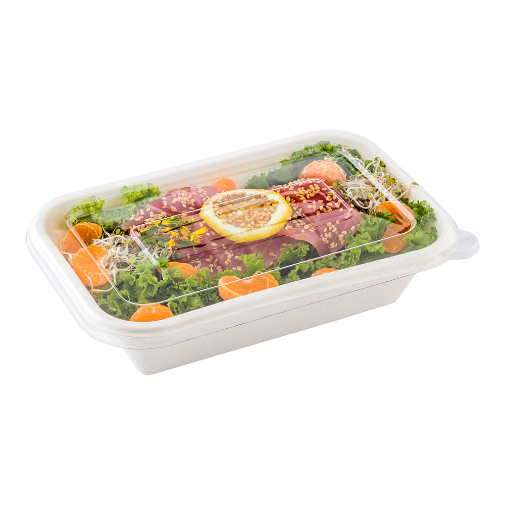 Pulp Tek Rectangle Clear Plastic Flat Lid - Fits 24 and 32 oz Bagasse Container - 100 count box