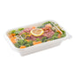 Pulp Tek Rectangle Clear Plastic Flat Lid - Fits 24 and 32 oz Bagasse Container - 100 count box