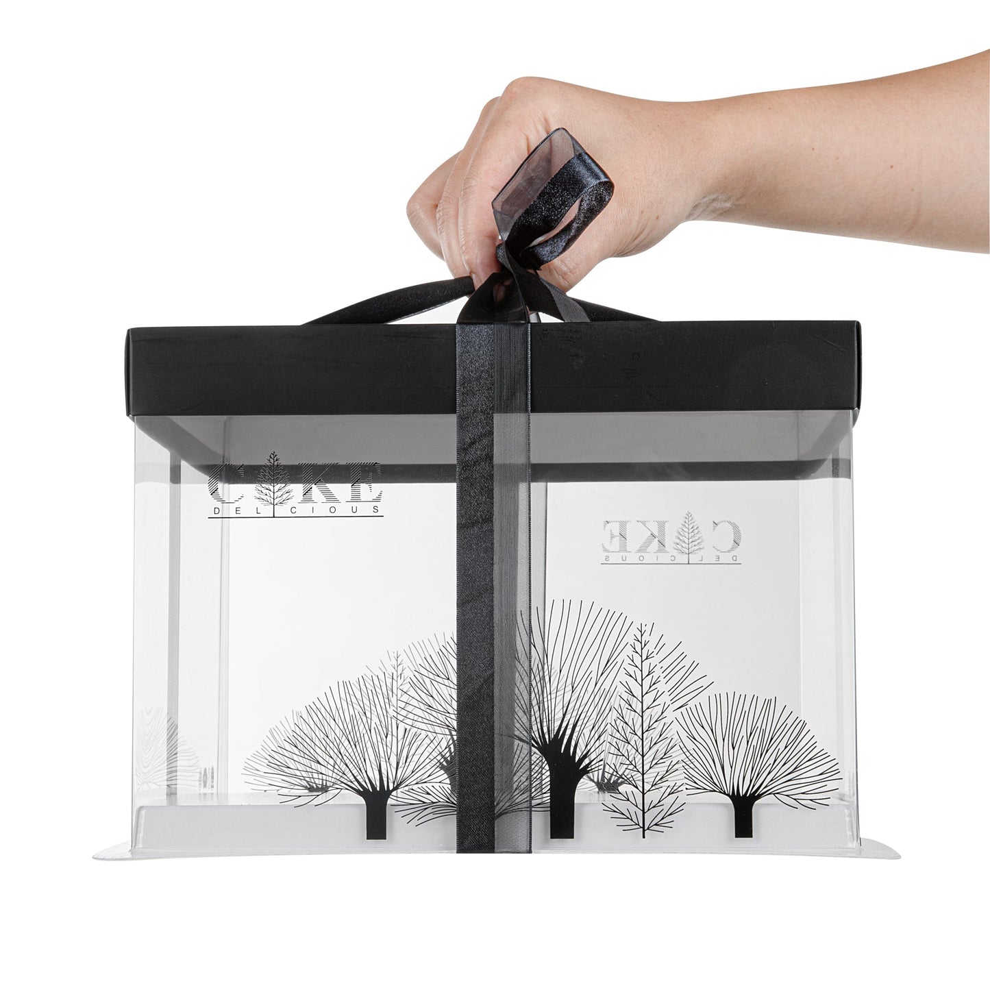Sweet Vision Square Clear Plastic Cake Box - Black Lid and White Base, Black Ribbon, Tree Accent - 8 1/2" x 8 1/2" x 6 3/4" - 10 count box