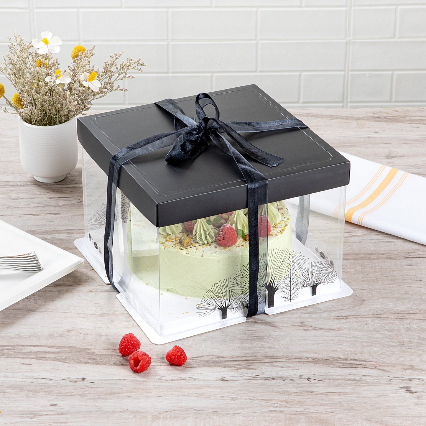 Sweet Vision Square Clear Plastic Cake Box - Black Lid and White Base, Black Ribbon, Tree Accent - 8 1/2" x 8 1/2" x 6 3/4" - 10 count box