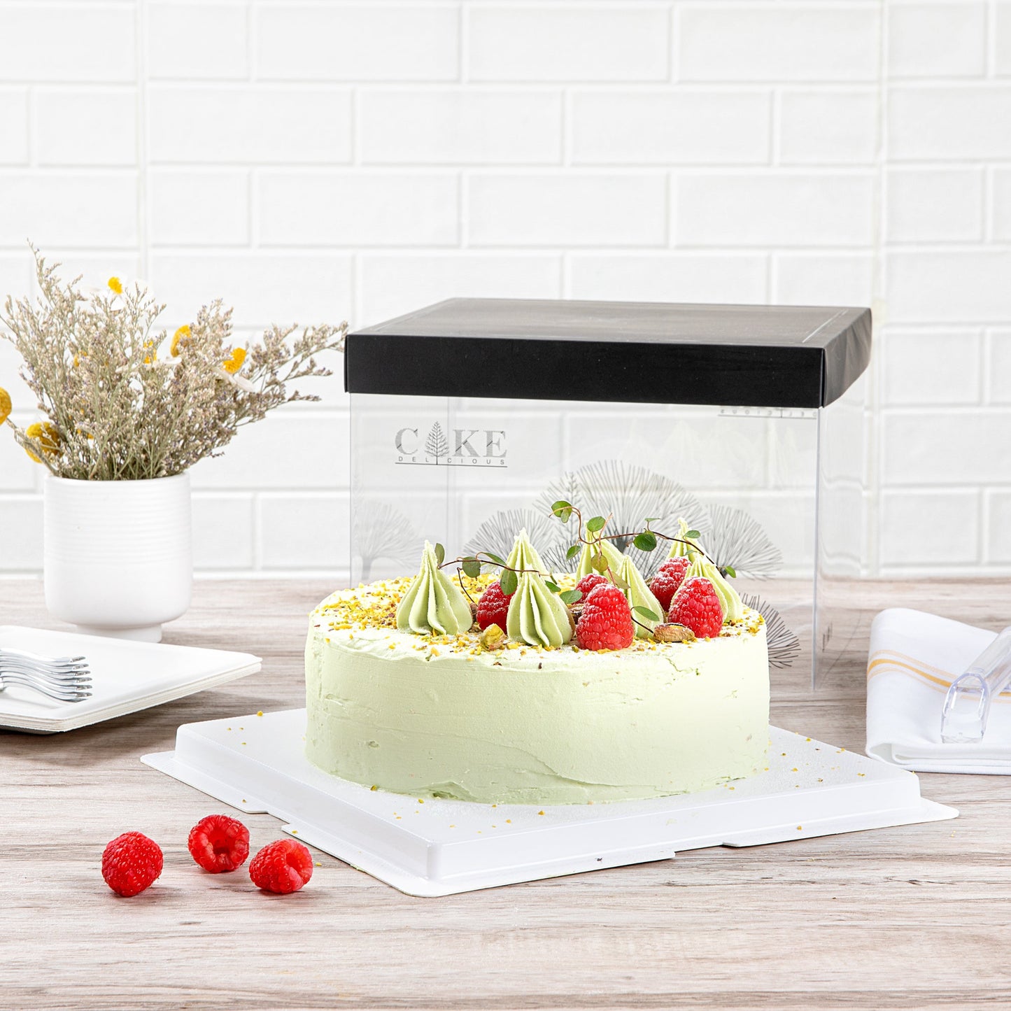 Sweet Vision Square Clear Plastic Cake Box - Black Lid and White Base, Black Ribbon, Tree Accent - 8 1/2" x 8 1/2" x 6 3/4" - 10 count box