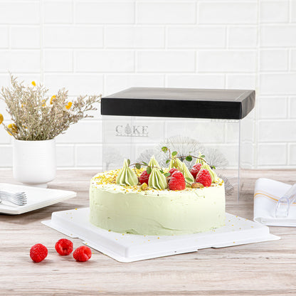 Sweet Vision Square Clear Plastic Cake Box - Black Lid and White Base, Black Ribbon, Tree Accent - 8 1/2" x 8 1/2" x 6 3/4" - 10 count box