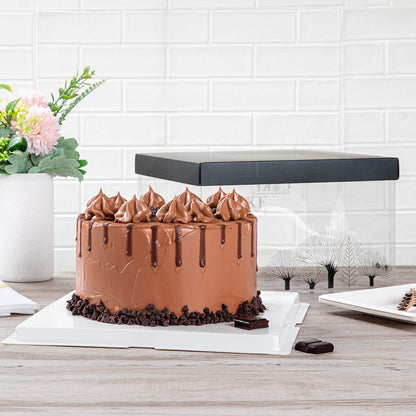 Sweet Vision Square Clear Plastic Cake Box - Black Lid and White Base, Black Ribbon, Tree Accent - 10" x 10" x 8 1/4" - 10 count box