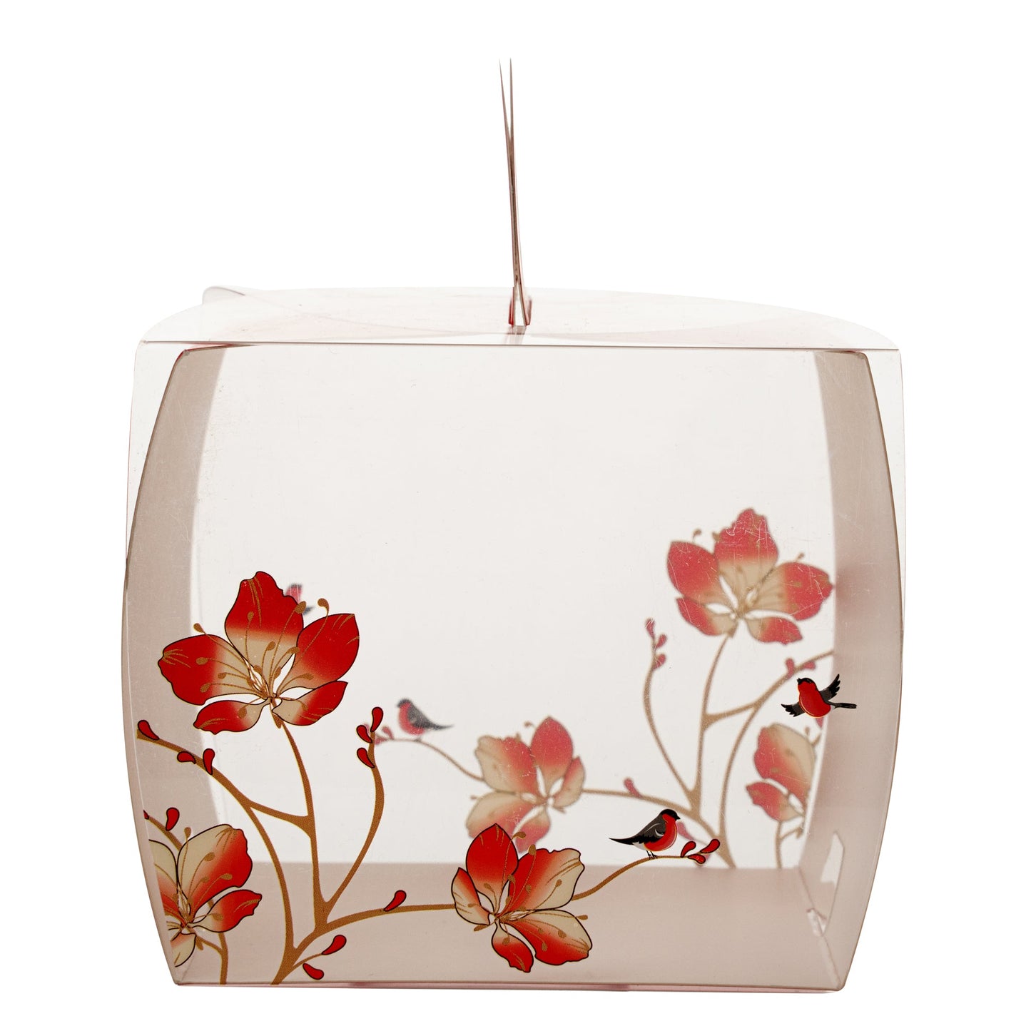 Sweet Vision Square Clear Plastic Cupcake Box - with Handle, Red Paper Wrap, Flower / Bird Accent - 4" x 4" x 4 1/4" - 100 count box