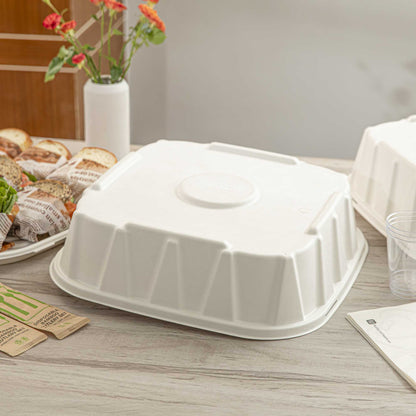 Pulp Safe No PFAS Added Square White Sugarcane / Bagasse Tray Lid - Home Compostable, Fits 16" - 100 count box