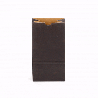 Bag Tek Black Paper Bag - 4 lb - 5" x 3 1/4" x 9 1/2" - 100 count box