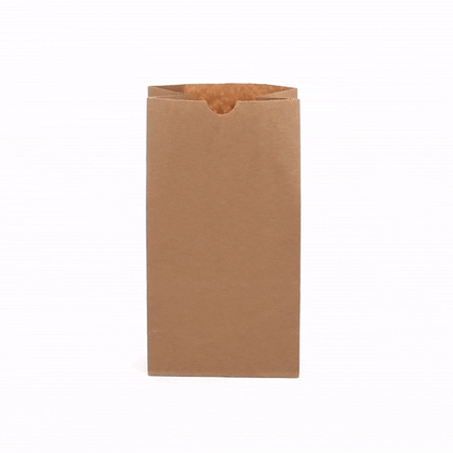Bag Tek Kraft Paper Bag - 4 lb - 5" x 3 1/4" x 9 1/2" - 100 count box