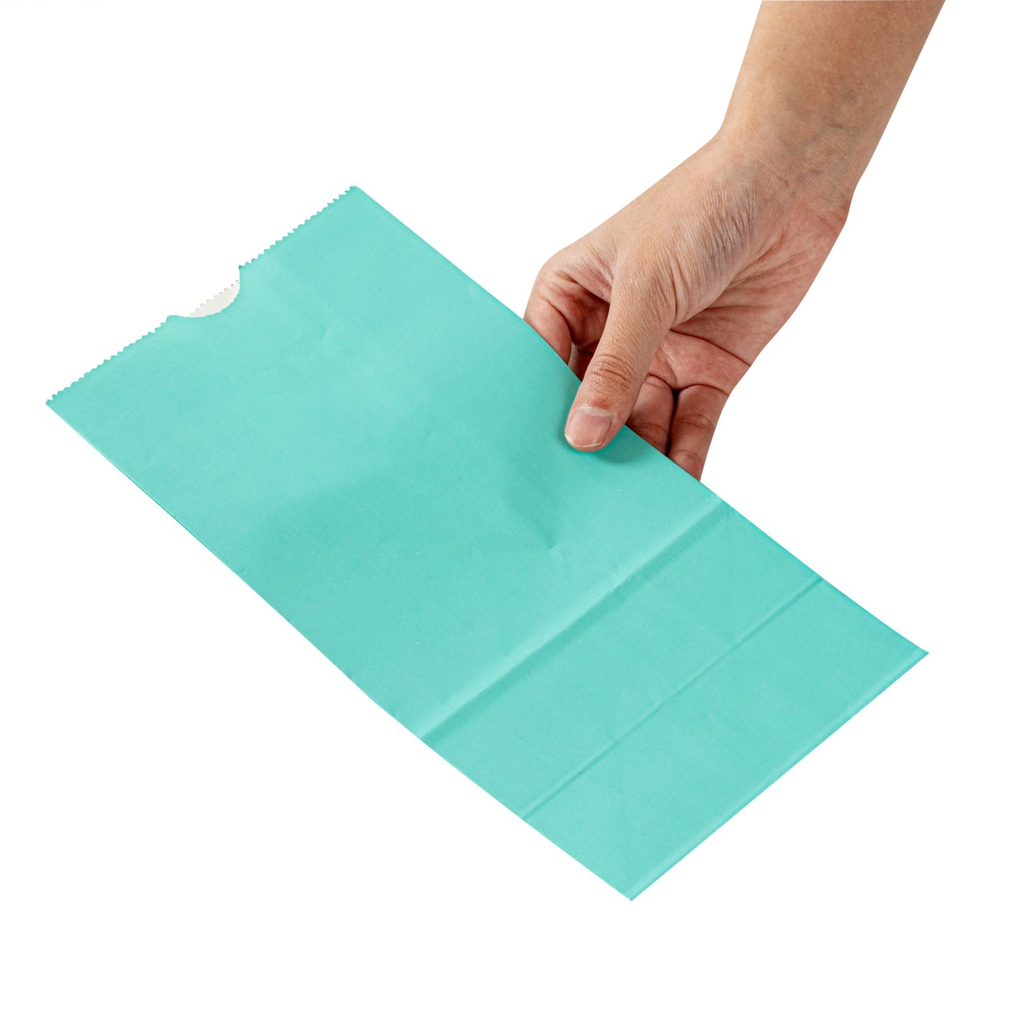 Bag Tek Turquoise Paper Bag - 4 lb - 5" x 3 1/4" x 9 1/2" - 100 count box