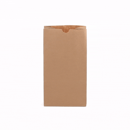 Bag Tek Kraft Paper Bag - 6 lb - 6" x 3 1/2" x 10 3/4" - 100 count box