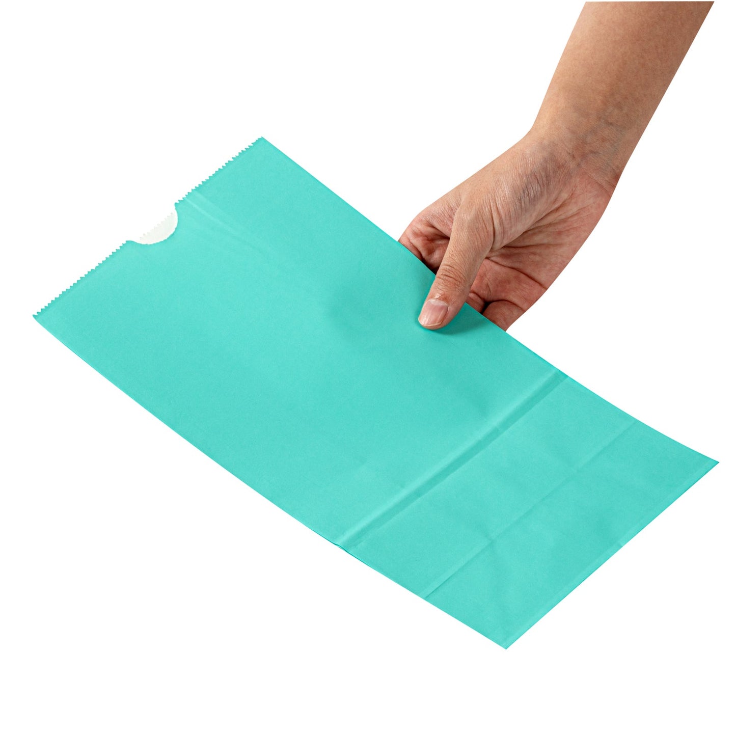 Bag Tek Turquoise Paper Bag - 6 lb - 6" x 3 1/2" x 10 3/4" - 100 count box