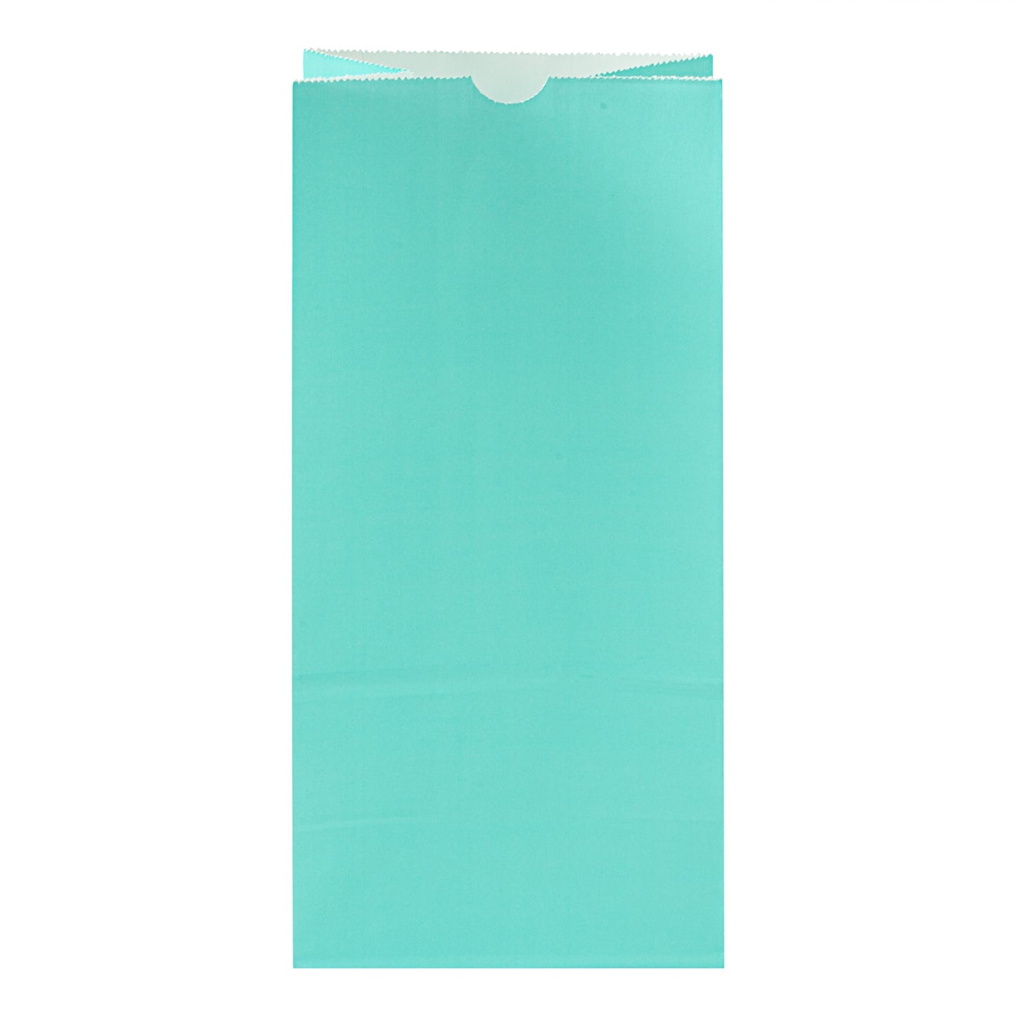 Bag Tek Turquoise Paper Bag - 8 lb - 6" x 4" x 11 3/4" - 100 count box