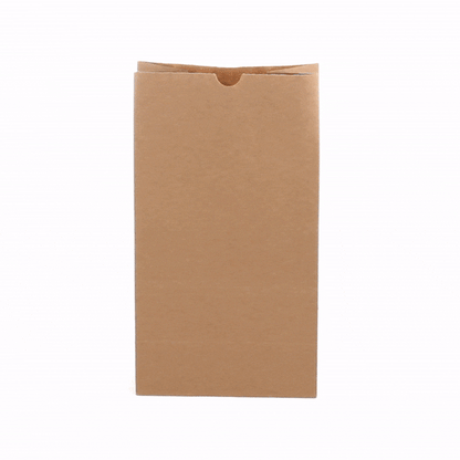 Bag Tek Kraft Paper Bag - 12 lb - 7" x 4 1/4" x 12 1/2" - 100 count box