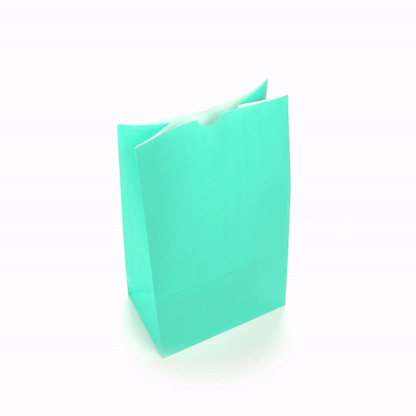 Bag Tek Turquoise Paper Bag - 12 lb - 7" x 4 1/4" x 12 1/2" - 100 count box