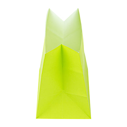 Bag Tek Eco Green Paper Large Snack Bag - 4 1/4" x 2 1/2" x 3 3/4" - 100 count box