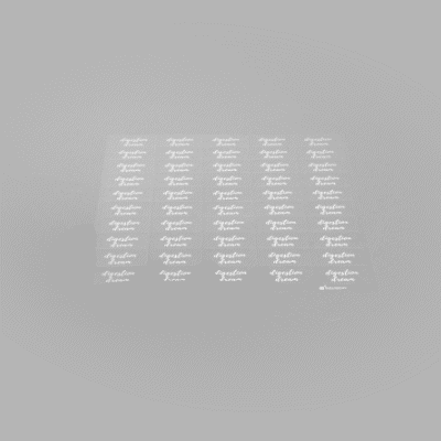 Label Tek Plastic Digestion Dream Label - Clear with White Font, Water-Resistant - 2" x 1" - 100 count box