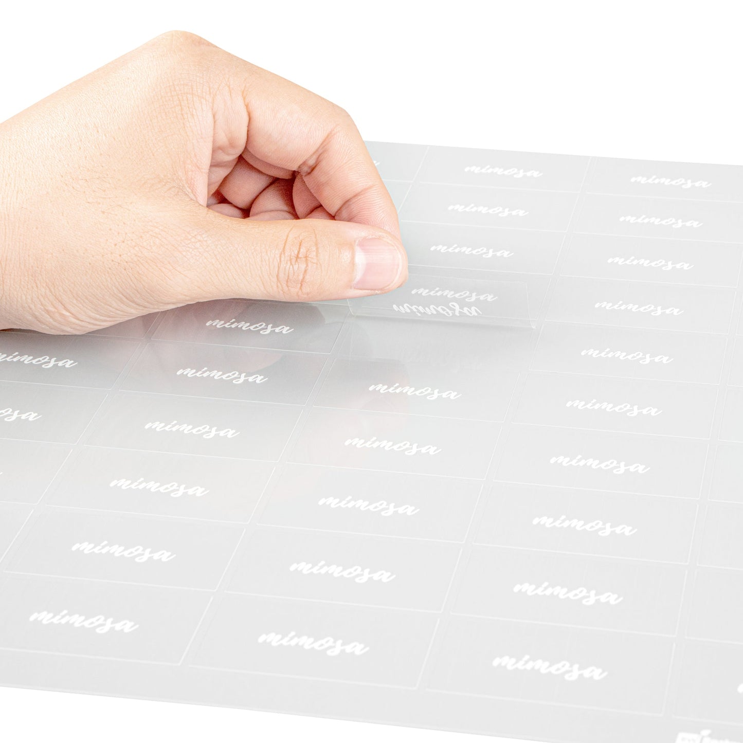Label Tek Plastic Mimosa Label - Clear with White Font, Water-Resistant - 2" x 1" - 100 count box