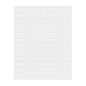 Label Tek Plastic Pineapple Label - Clear with White Font, Water-Resistant - 2" x 1" - 100 count box