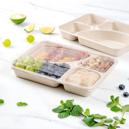 Pulp Tek Rectangle Clear Plastic Flat Lid - Fits To Go Trays - 100 count box