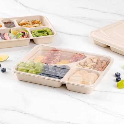 Pulp Tek Rectangle Clear Plastic Flat Lid - Fits To Go Trays - 100 count box
