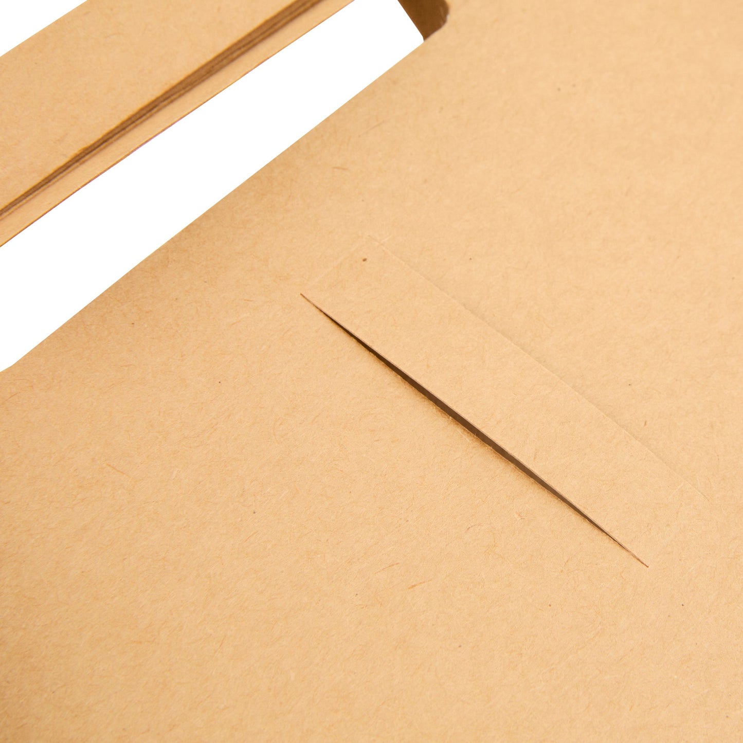Bio Tek Kraft Paper To Go Lunch / Drink Carrier - with Handle - 8 3/4" x 4 1/4" x 8" - 100 count box