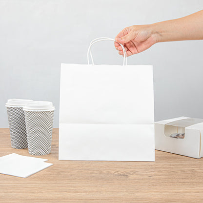 Saving Nature White Paper Retail Bag - with Handles - 10 1/4" x 7 3/4" x 10 1/2" - 100 count box